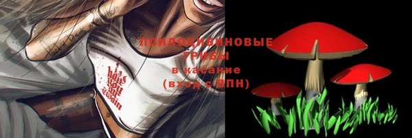 a pvp Струнино