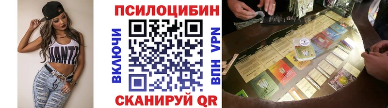 Купить  Сорск  Галлюциногенные грибы мицелий 